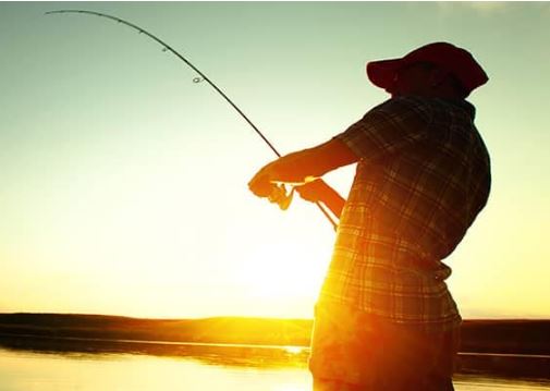 Resistance is (Sometimes) Futile: Study Says That, In Many Lakes, It’s Time to Accept Change and Plan for the Future of Fishing