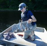 There’s hope of recovery in Trout Lake as parasite causes major drop in invasive Rusty Crayfish population