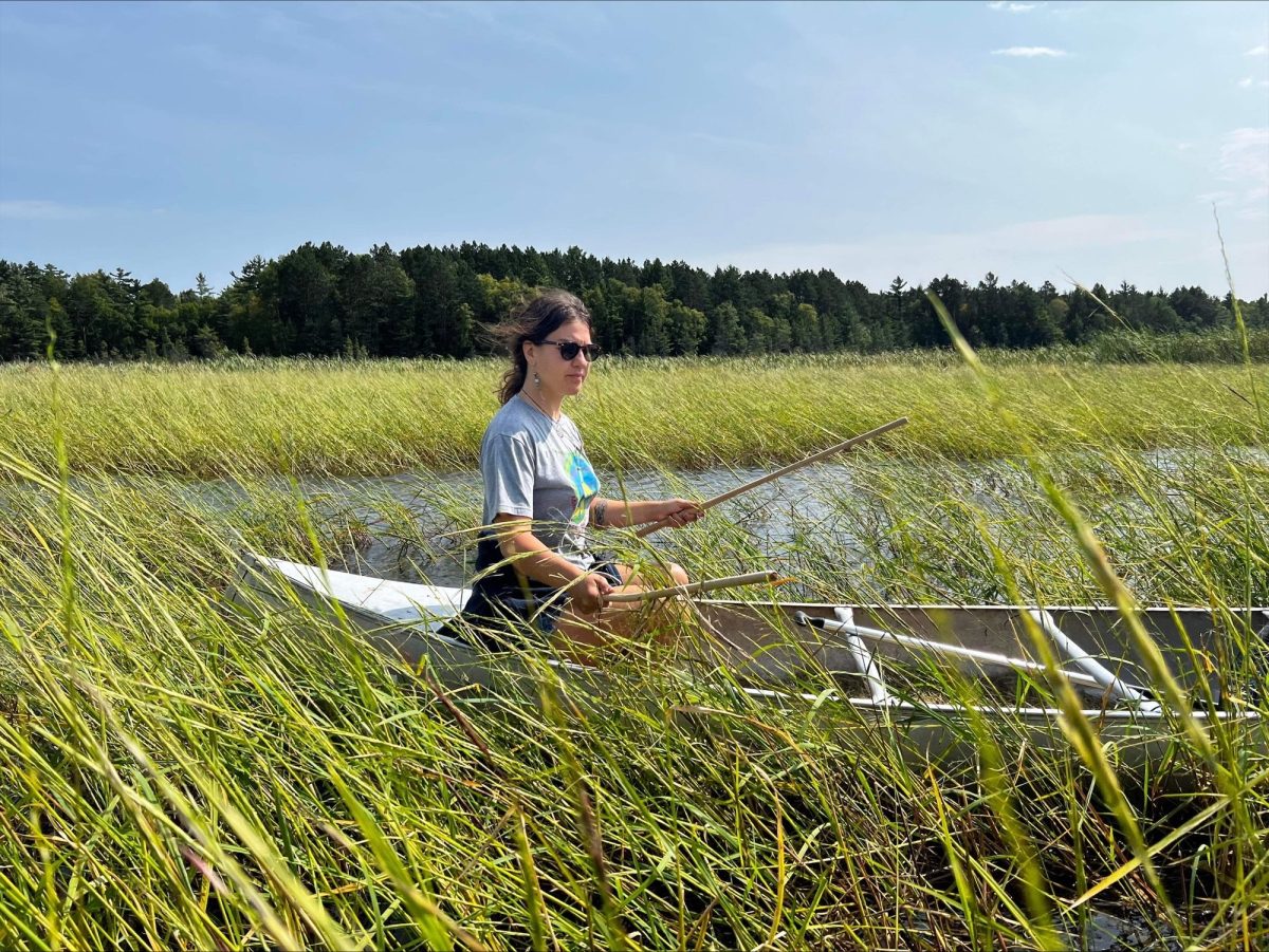 Project shares knowledge of native rice with community